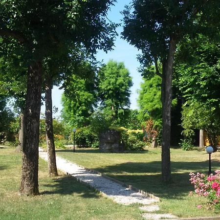 B&B La Vigna Di Federico 鲁巴诺 外观 照片