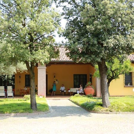 B&B La Vigna Di Federico 鲁巴诺 外观 照片