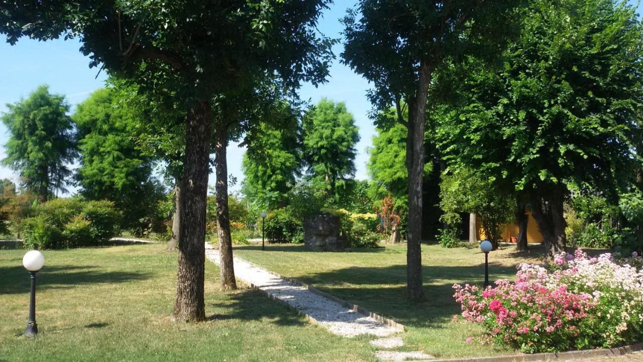 B&B La Vigna Di Federico 鲁巴诺 外观 照片