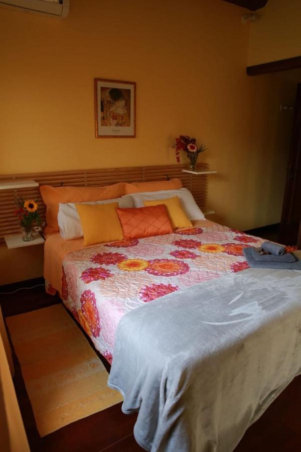 B&B La Vigna Di Federico 鲁巴诺 外观 照片
