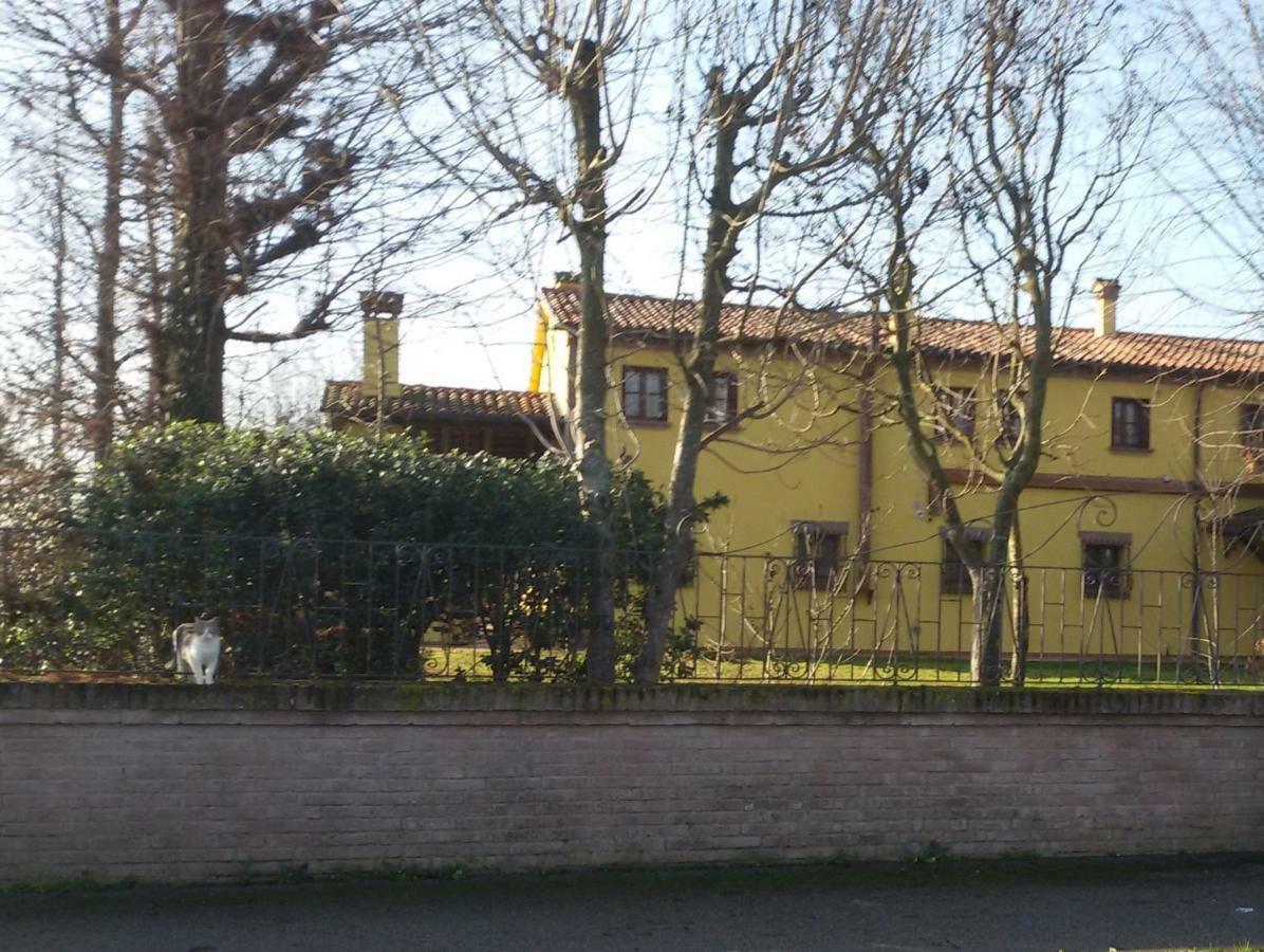 B&B La Vigna Di Federico 鲁巴诺 外观 照片