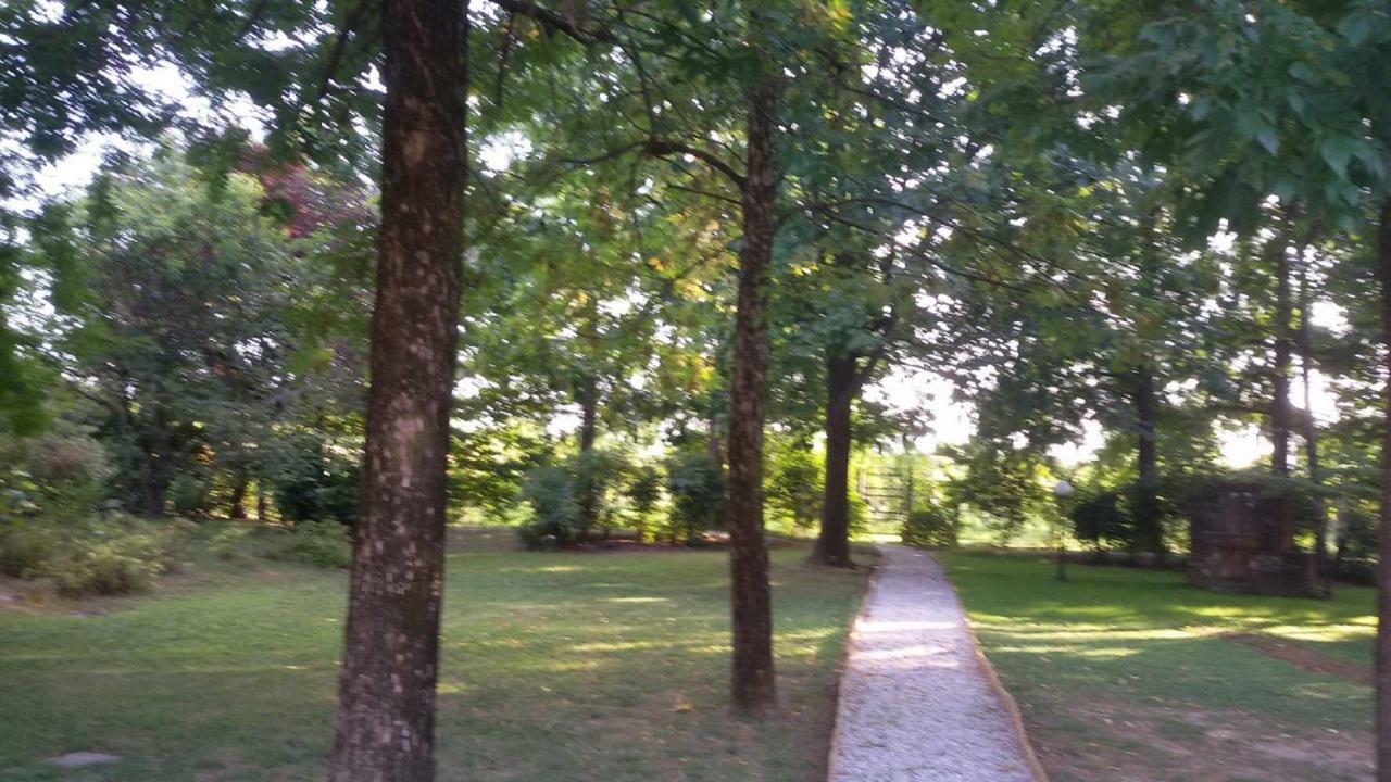 B&B La Vigna Di Federico 鲁巴诺 外观 照片