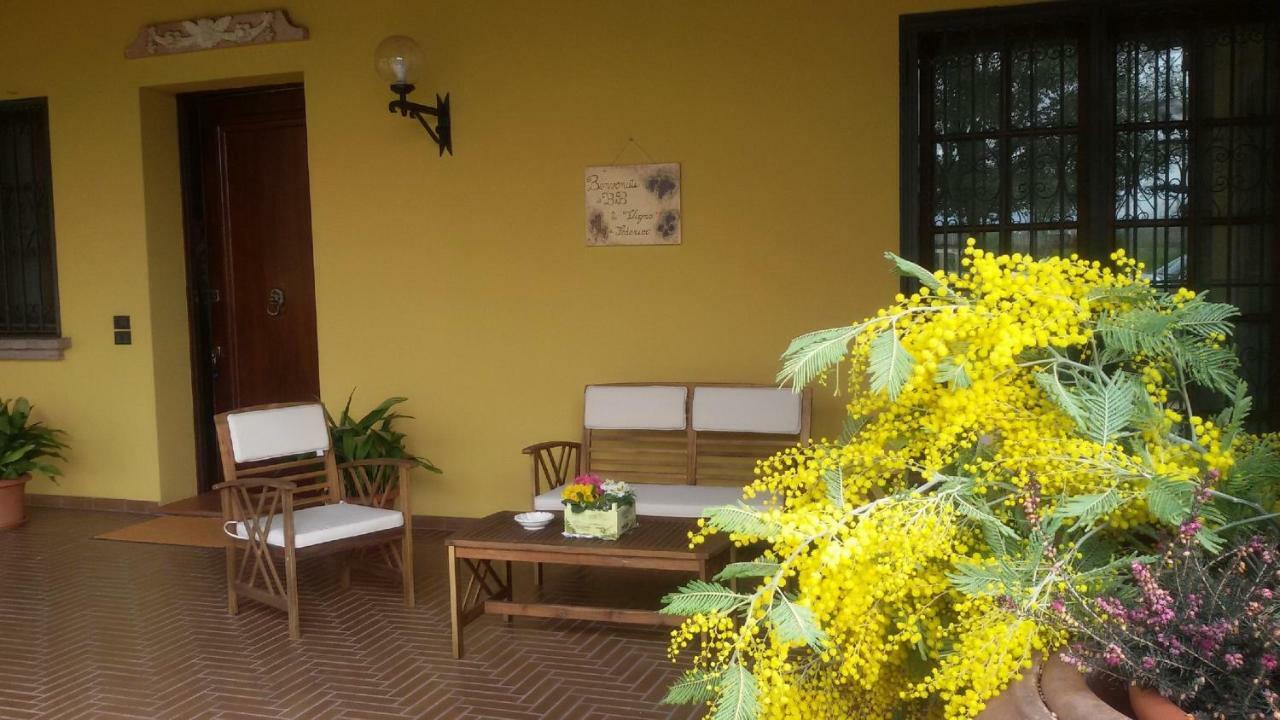 B&B La Vigna Di Federico 鲁巴诺 外观 照片