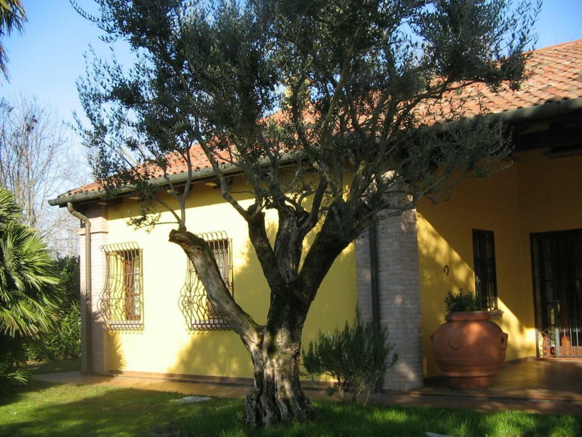 B&B La Vigna Di Federico 鲁巴诺 外观 照片
