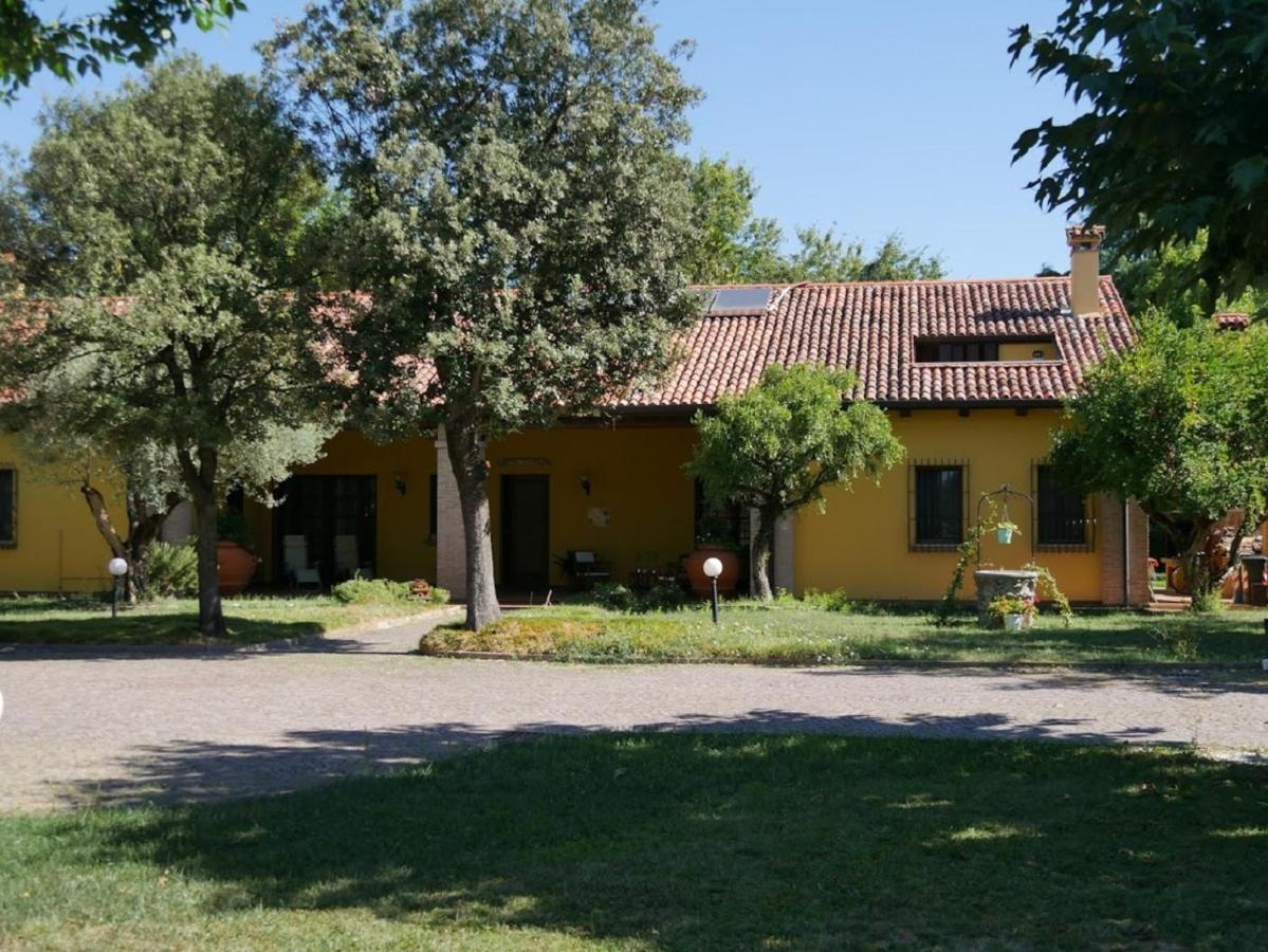 B&B La Vigna Di Federico 鲁巴诺 客房 照片