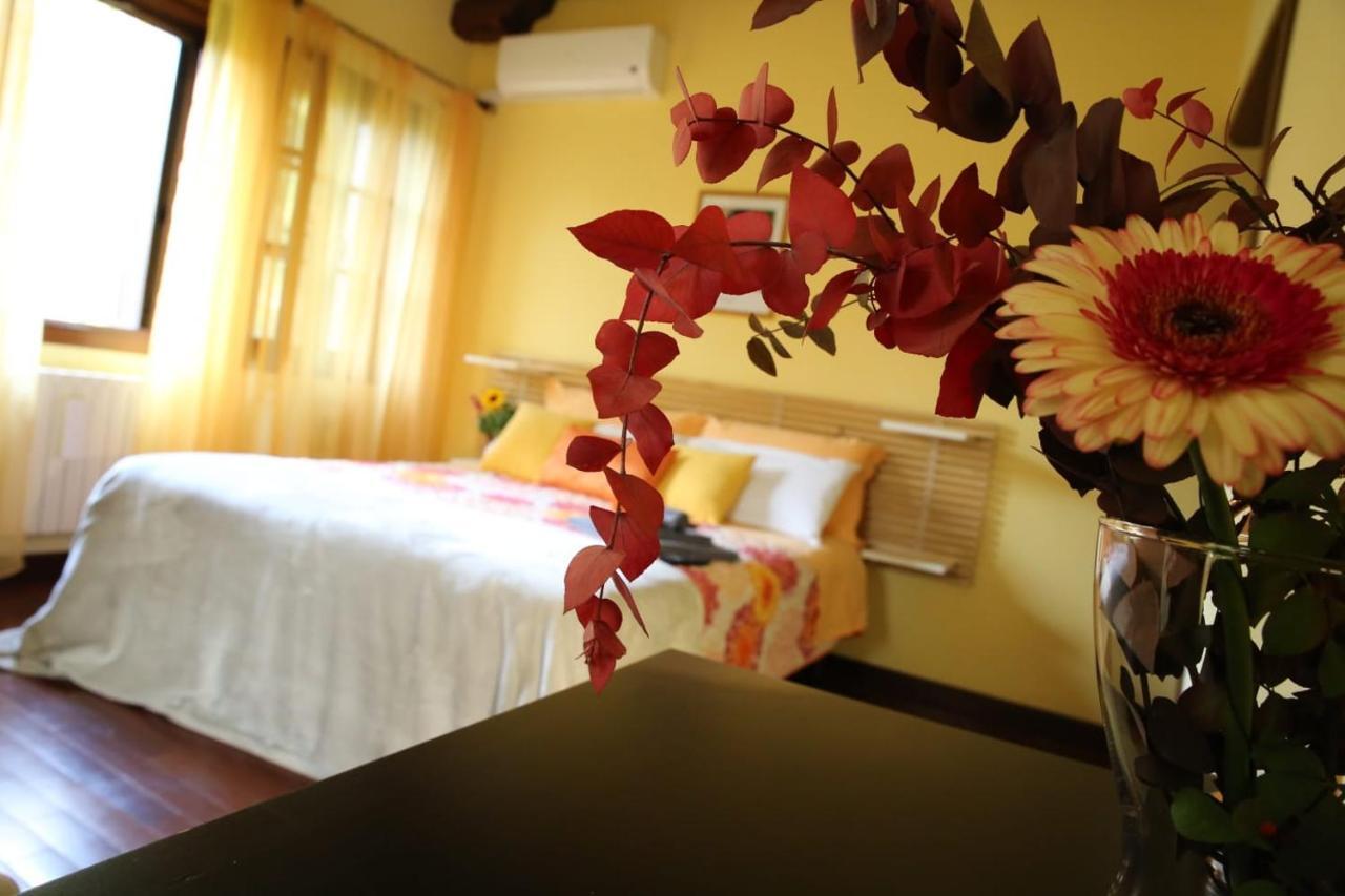 B&B La Vigna Di Federico 鲁巴诺 外观 照片